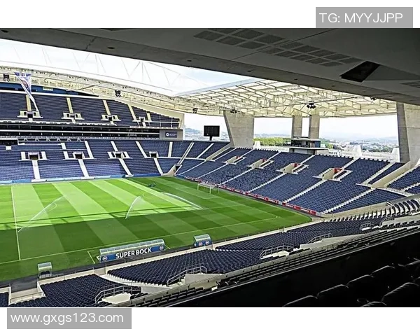 从贫民窟到绿茵场传奇他如何突破命运成为世界足球之星 从贫民窟到绿茵场传奇他如何突破命运成为世界足球之星